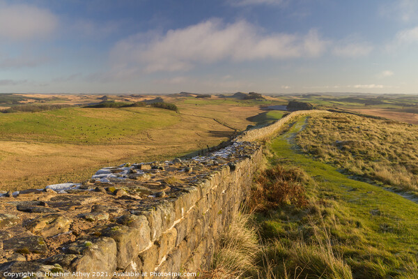View from Hadrian's Wall Picture Board by Heather Athey