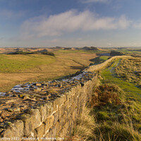 Buy canvas prints of View from Hadrian's Wall by Heather Athey