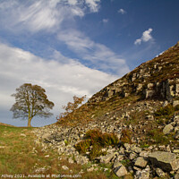 Buy canvas prints of Sycamore Gap, Hadrian's Wall Northumberland by Heather Athey