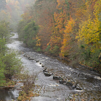 Buy canvas prints of Staward Gorge in autumn by Heather Athey