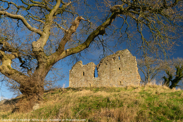 Thirlwall castle in Northumberland Picture Board by Heather Athey