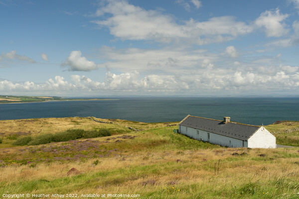 View from Mull of Galloway Picture Board by Heather Athey