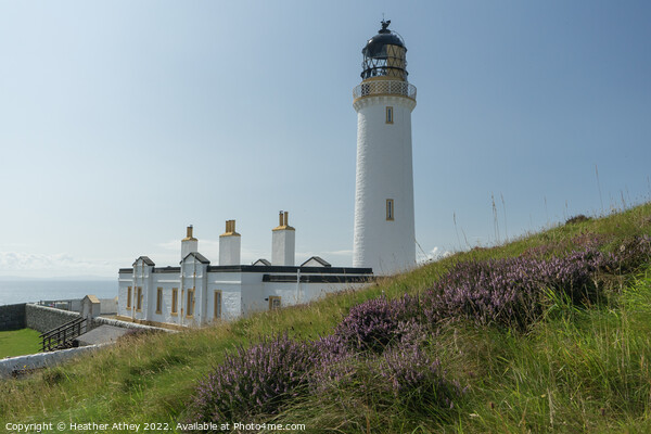 Lighthouse at The Mull of Galloway Picture Board by Heather Athey
