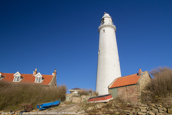 St Mary's Lighthouse & Cottages, Whitley Bay, UK Picture Board by Heather Athey