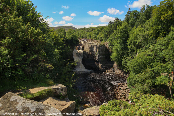 High Force, Teesdale, County Durham, UK Picture Board by Heather Athey