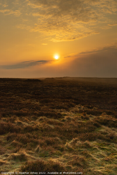Moorland Sunrise - Northumberland Picture Board by Heather Athey