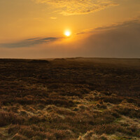 Buy canvas prints of Moorland Sunrise - Northumberland by Heather Athey
