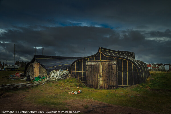 Boat Sheds Holy Island, Northumberland Picture Board by Heather Athey