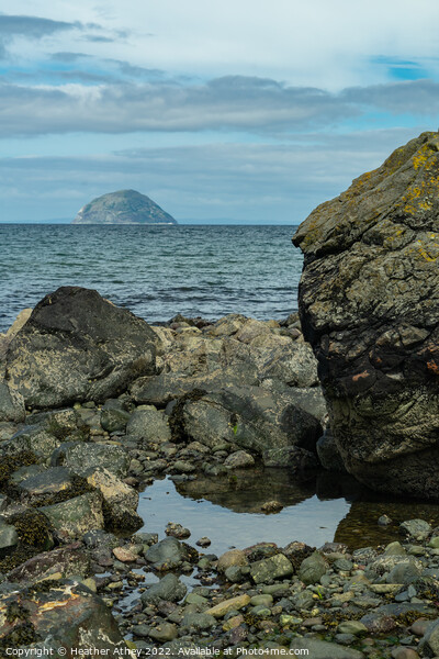 View to Ailsa Craig, Scotland Picture Board by Heather Athey