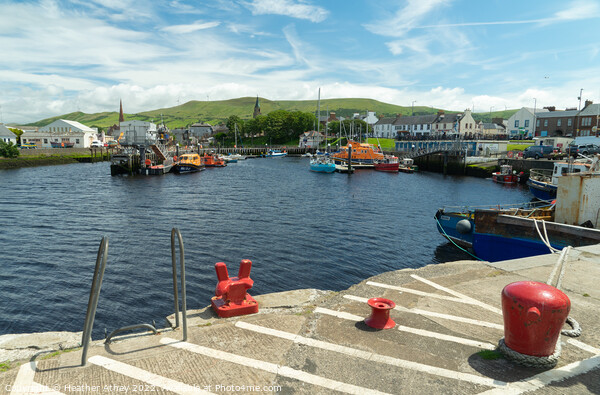 Harbour scene at Girvan, Scotland Picture Board by Heather Athey