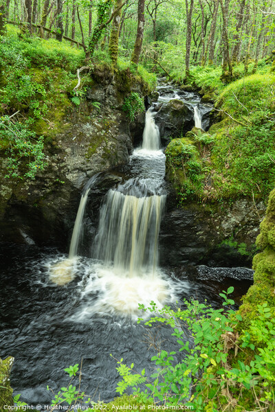 Waterfall at Wood of Cree, Dumfries & Galloway Picture Board by Heather Athey