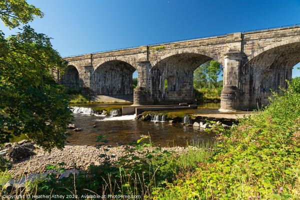 Alston Arches, Haltwhistle, Northumberland Picture Board by Heather Athey