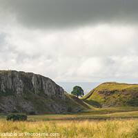 Buy canvas prints of Hadrian's Wall and Sycamore Gap, Northumberland by Heather Athey