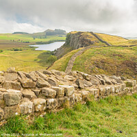 Buy canvas prints of Hadrian's wall  in Northumberland by Heather Athey