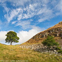 Buy canvas prints of Sycamore Gap in Northumberland, UK by Heather Athey