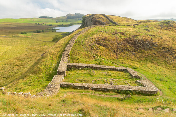 MIlecastle 39 on Hadrian's Wall Picture Board by Heather Athey