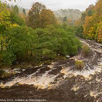 Buy canvas prints of Misty Autumn day at Staward Gorge, Northumberland by Heather Athey
