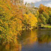 Buy canvas prints of River South Tyne in autumn by Heather Athey