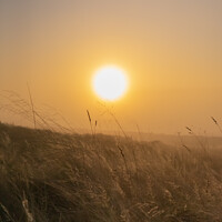 Buy canvas prints of Foggy Moorland Sunrise by Heather Athey