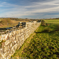 Buy canvas prints of Winter sun on Hadrian's Wall  by Heather Athey