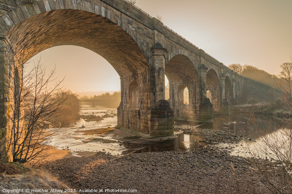 Alston Arches at Haltwhistle, Northumberland,  Picture Board by Heather Athey