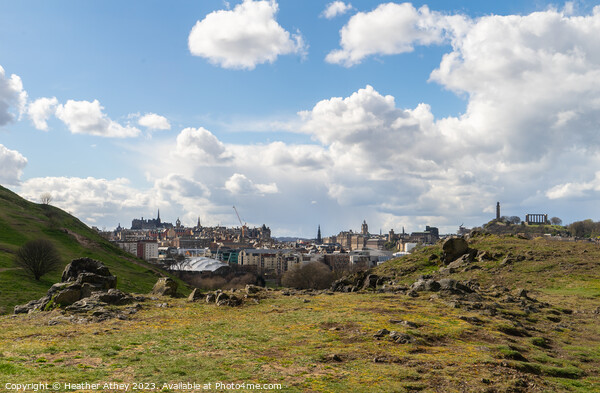 A view of Edinburgh from Salisbury crags Picture Board by Heather Athey