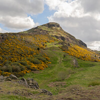 Buy canvas prints of Sunshine of Arthur's Seat by Heather Athey