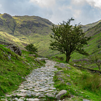 Buy canvas prints of Footpath alongside Grains Gill, Seathwaite by Heather Athey