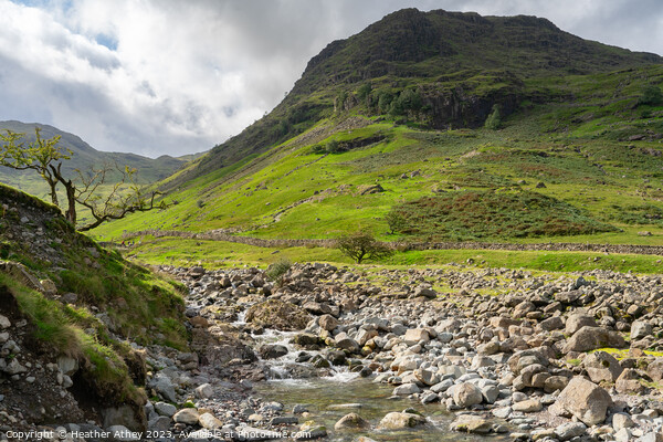 Grains Gill & Seathwaite fell Picture Board by Heather Athey