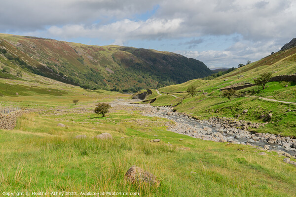 View towards Seathwaite, Cumbria Picture Board by Heather Athey