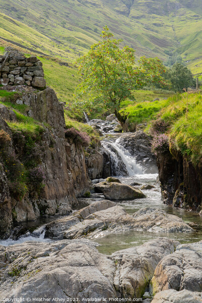 Grains Gill, Seathwaite Picture Board by Heather Athey