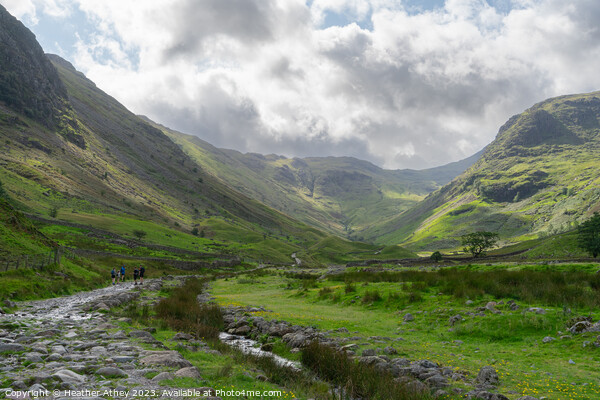 Seathwaite valley, Cumbria Picture Board by Heather Athey