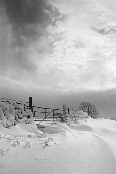 Snowy Gate Picture Board by Heather Athey