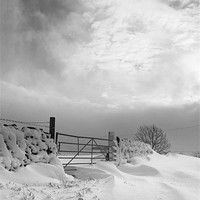 Buy canvas prints of Snowy Gate by Heather Athey