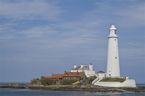 St Marys Lighthouse Picture Board by Heather Athey