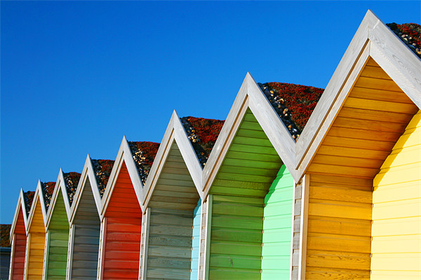 Beach Huts 2 Picture Board by Heather Athey