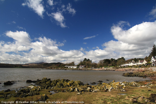 Rockcliffe, Dumfries & Galloway Picture Board by Heather Athey