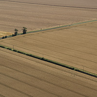 Buy canvas prints of Arable Landscape by Heather Athey