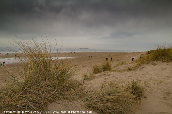 Moody day at Bamburgh beach, Northumberland Picture Board by Heather Athey