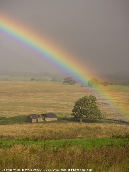 Rural rainbow Picture Board by Heather Athey