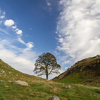 Buy canvas prints of Sycamore Gap, Hadrian's Wall by Heather Athey