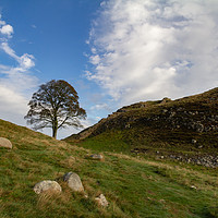 Buy canvas prints of Sycamore Gap, Hadrian's Wall, Northumberland by Heather Athey