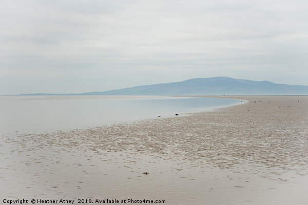 Solway Stillness Picture Board by Heather Athey