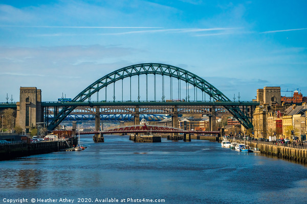 Newcastle river view Picture Board by Heather Athey