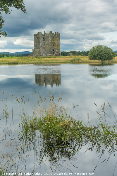 Threave Castle, Scotland Picture Board by Heather Athey