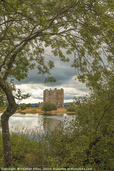 Threave Castle, Scotland Picture Board by Heather Athey