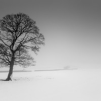 Buy canvas prints of Winter Stillness by Heather Athey