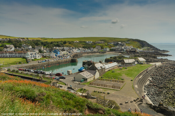 Portpatrick, Scotland Picture Board by Heather Athey