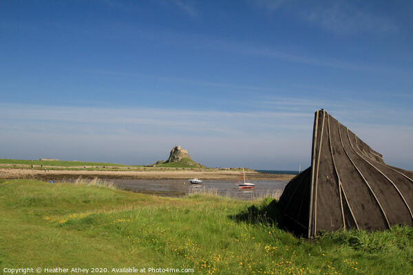 View across Lindisfarne harbour Picture Board by Heather Athey