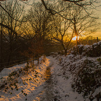 Buy canvas prints of Snowy Lane by Phil Tinkler